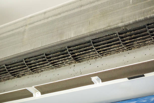 Best Commercial Air Duct Cleaning  in Vashon, WA